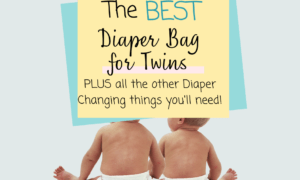 https://www.thewayitreallyis.com/wp-content/uploads/2022/11/best-diaper-bag-for-twins-940-%C3%97-650-px-300x180.png