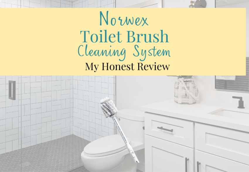 Cleaner-Dispensing Toilet Brush