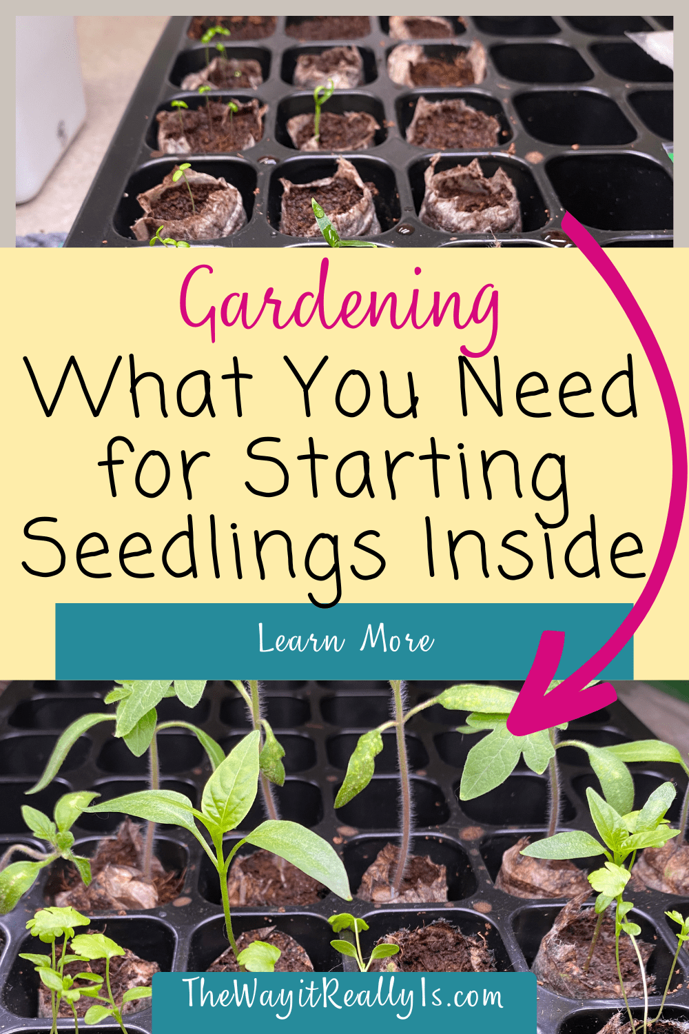 Gardening: What You Need for Starting Seedlings Inside - The Way It ...