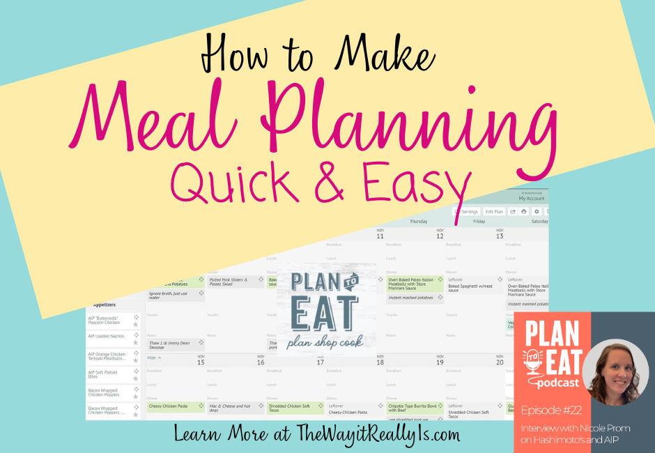 Easy and Fast Meal Planning with Plan to Eat - The Way It Really Is